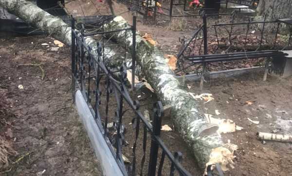 Два десятка захоронений в Климово было повреждено упавшими деревьями