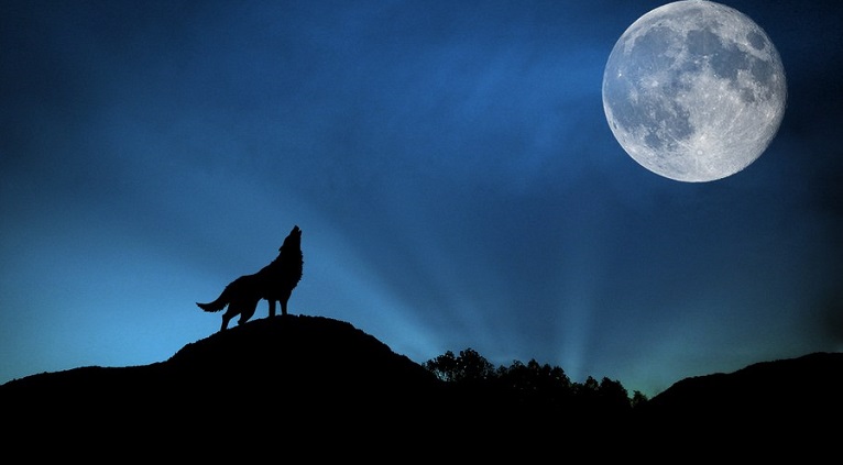 Сегодня брянцев ждет «волчье» затмение