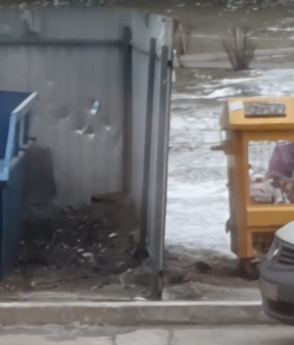 Крысы оккупировали мусорные контейнеры в Брянске