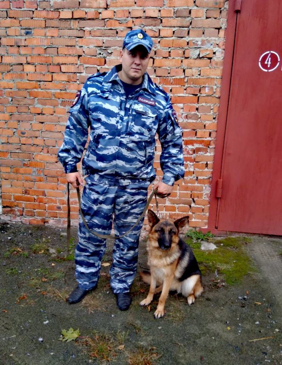 Овчарка Вита привела полицейских к квартире злоумышленника