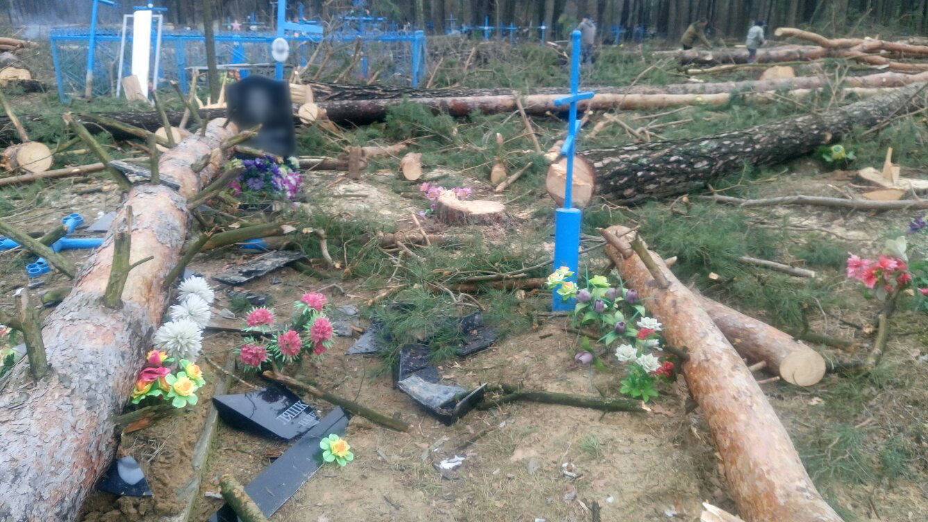 Учинивших погром на климовском кладбище лесорубов призовут к ответу