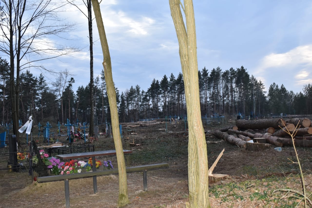 Могилы сравняли с землей – новые снимки кладбища в Климовском районе после «зачистки»