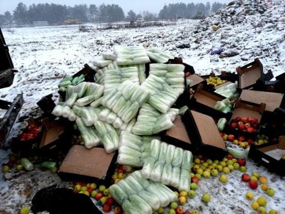 На новозыбковском полигоне уничтожили около трех тонн яблок и пекинской капусты