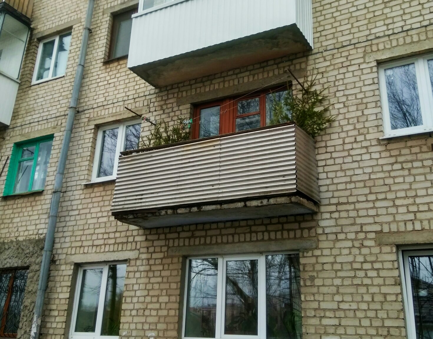 Бурное обсуждение вызвала фотография елок на балконе в Брянске