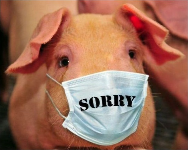 В Брянской области свирепствует «свиной» грипп