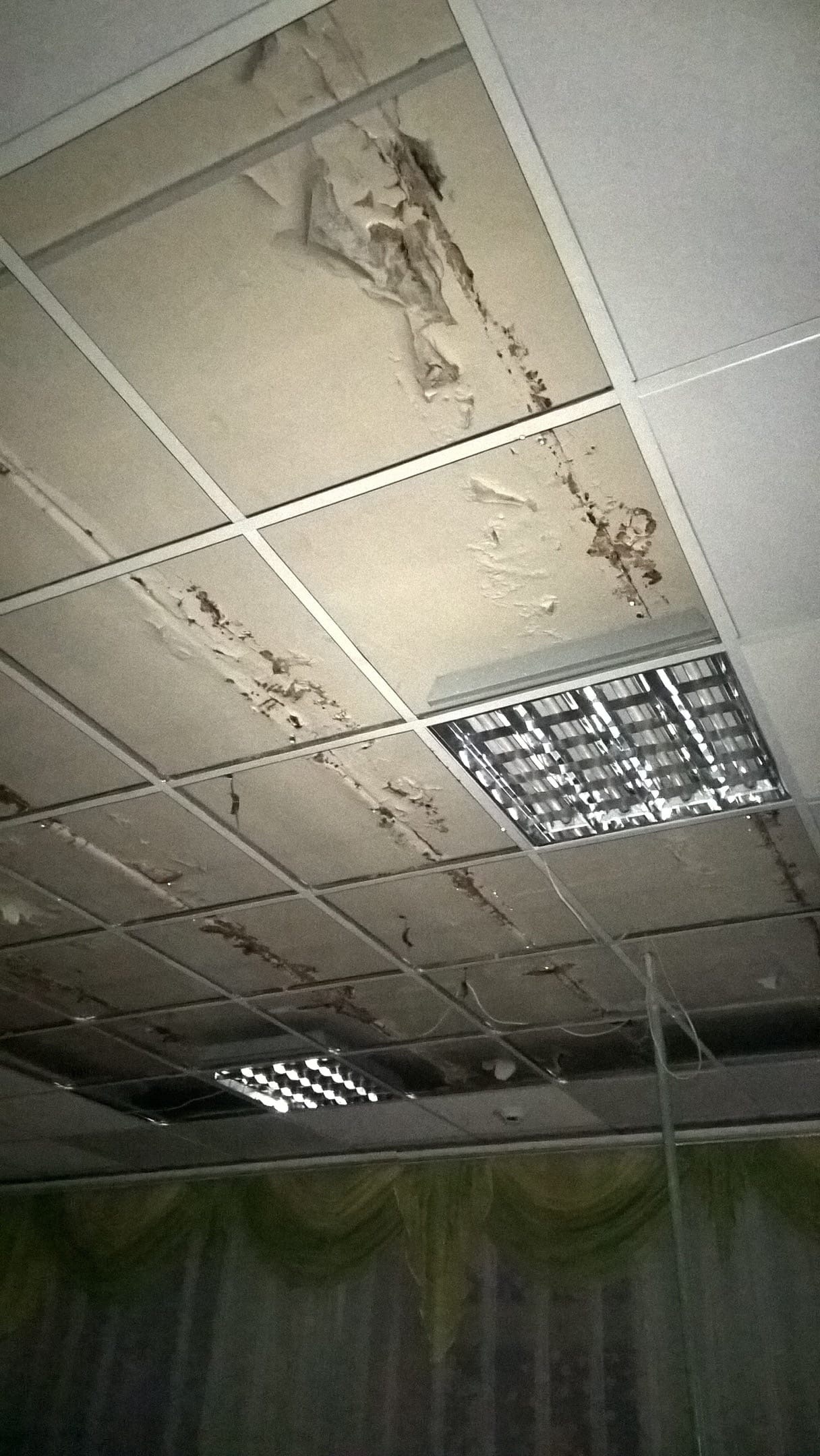 На протекающую крышу в детском саду «Воробушек» власти Брянска выделили деньги
