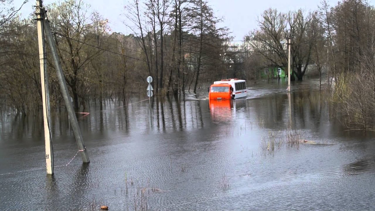 Прогноз на паводок – в Брянске не ждут большой воды