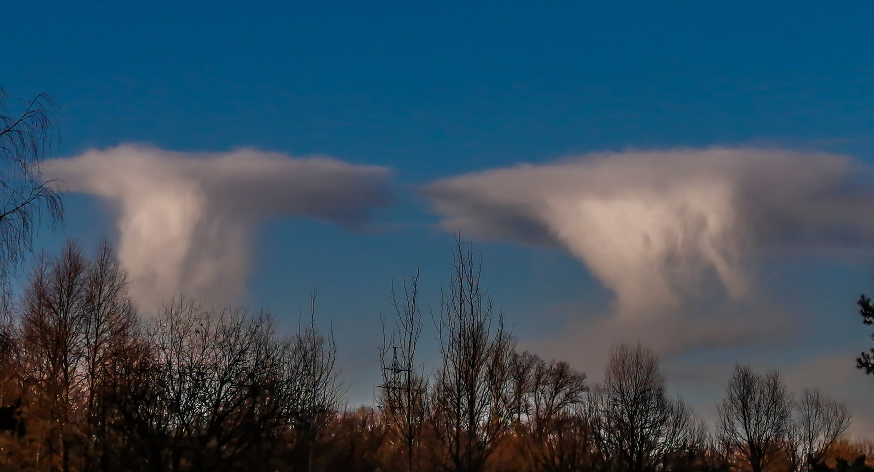 Метеочудо в Брянске: над столицей региона нависли облака-наковальни