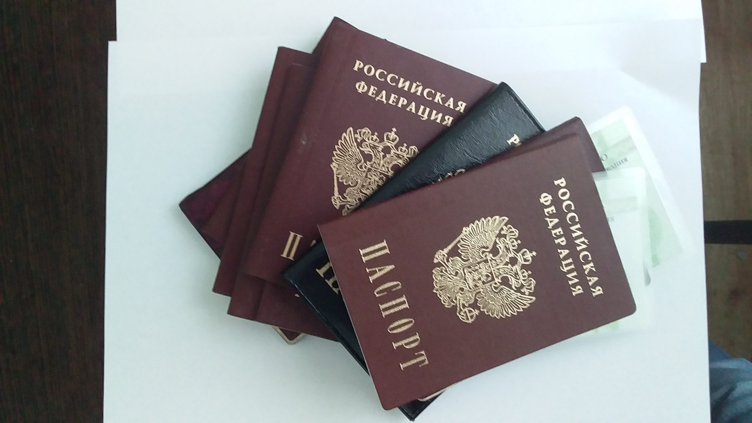 Паспорт Брянск