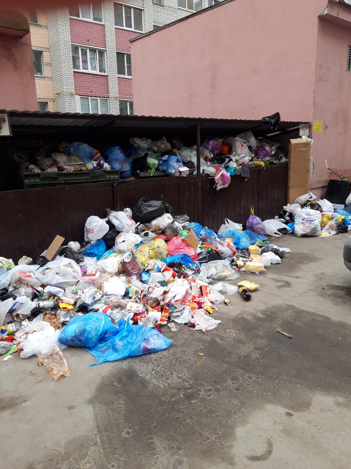 «Праздничная» свалка мусора образовалась во дворе брянской многоэтажки