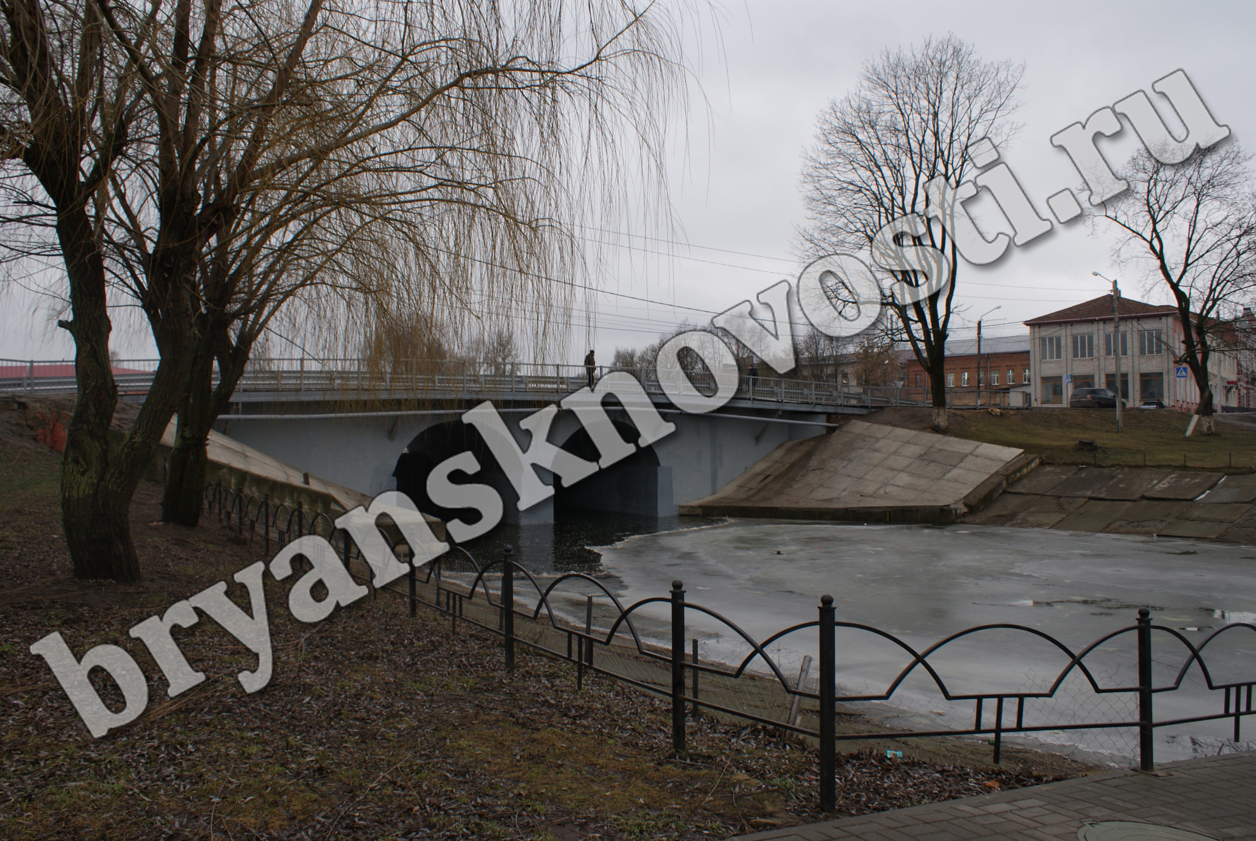 В Новозыбкове «свиным» гриппом переболели 12 человек