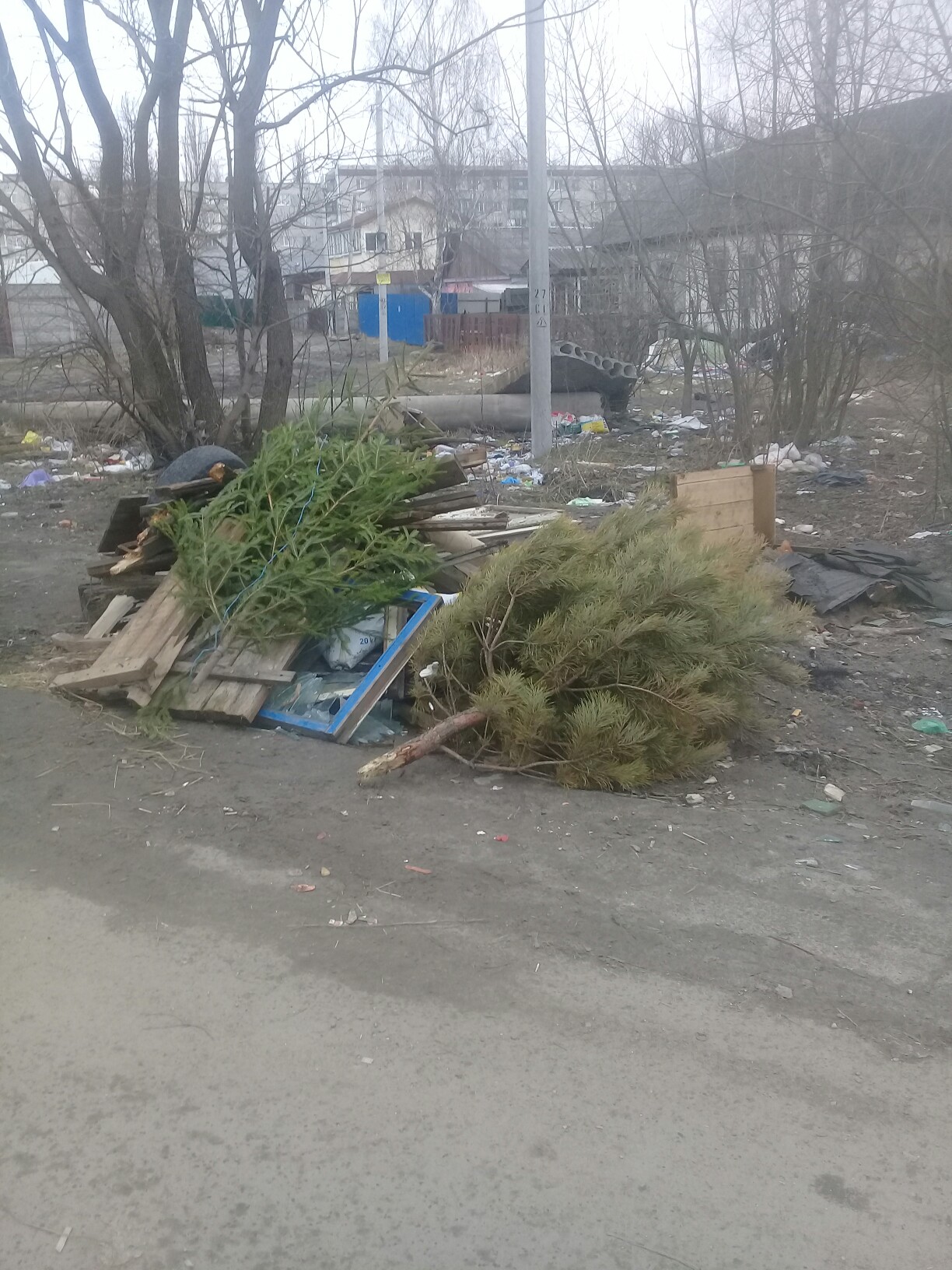 В Брянске «последние из могикан» решили расстаться с новогодними елками