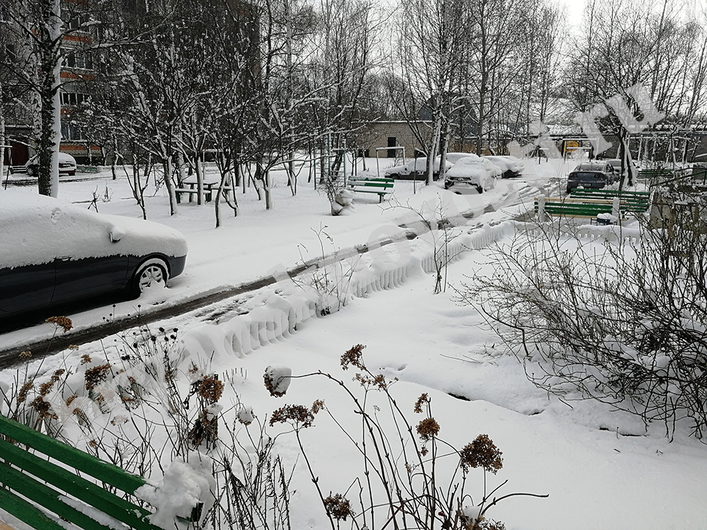 В Брянской области усилится ветер, пойдет снег