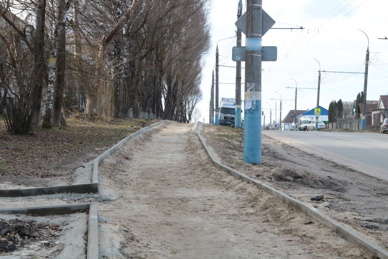 Обустройство пешеходной зоны на улице Бежицкой в Брянске начали с брака