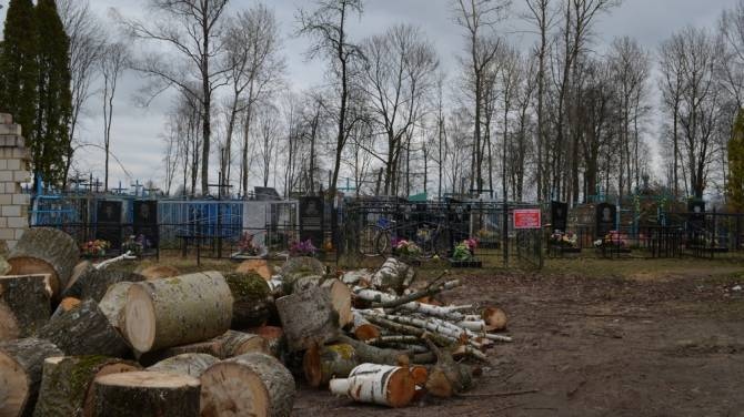 В Климово центральное кладбище очищают от аварийных деревьев