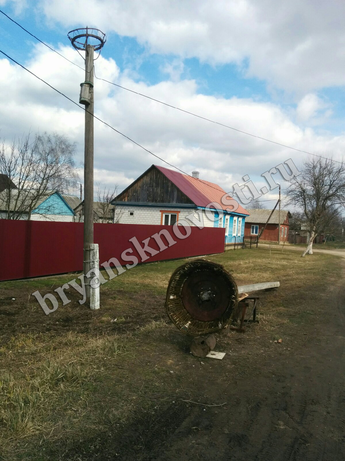 Неприятное соседство: в Новозыбкове аистов выживают с улицы