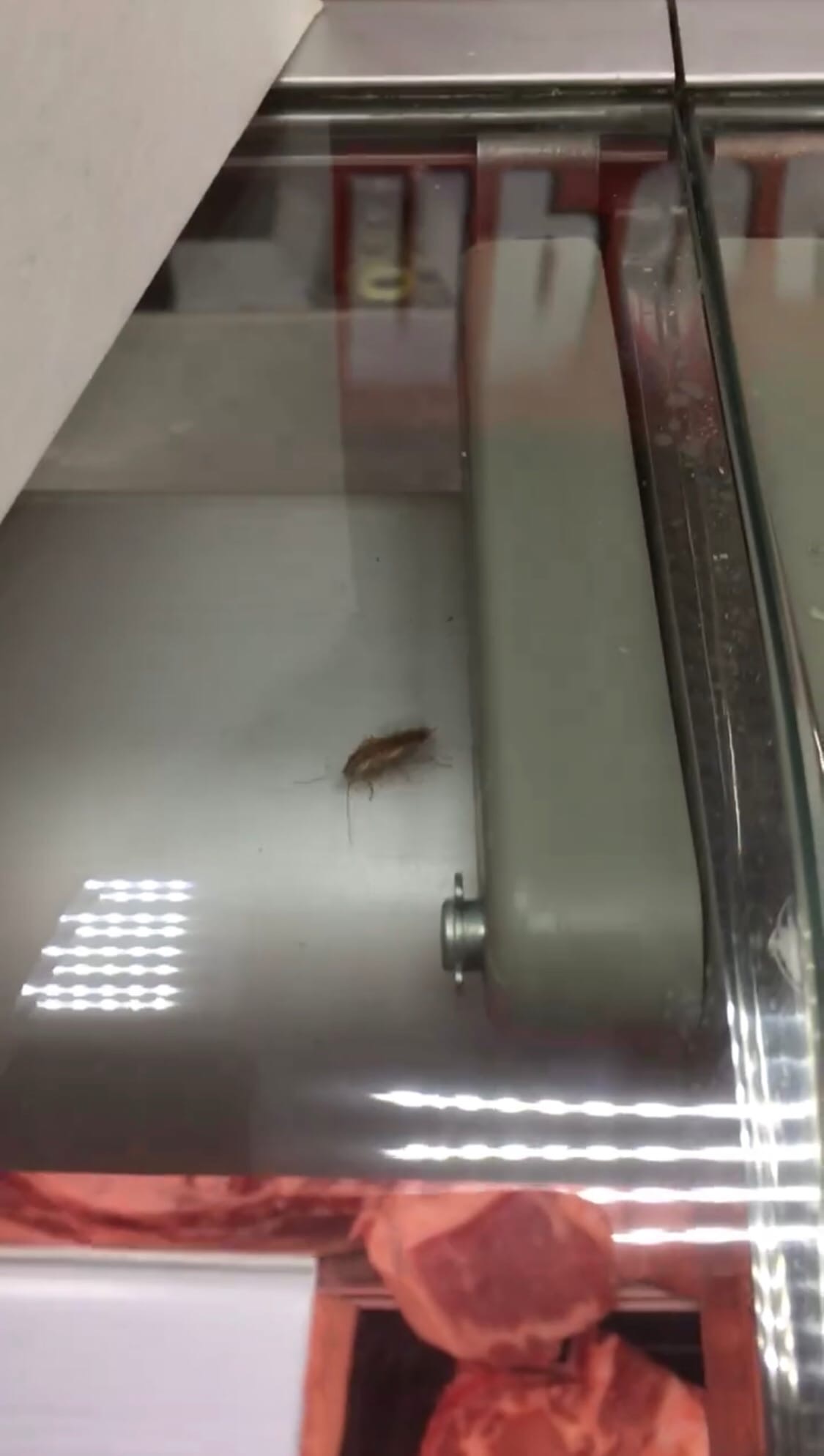 В мясном отделе брянского супермаркета обнаружили таракана