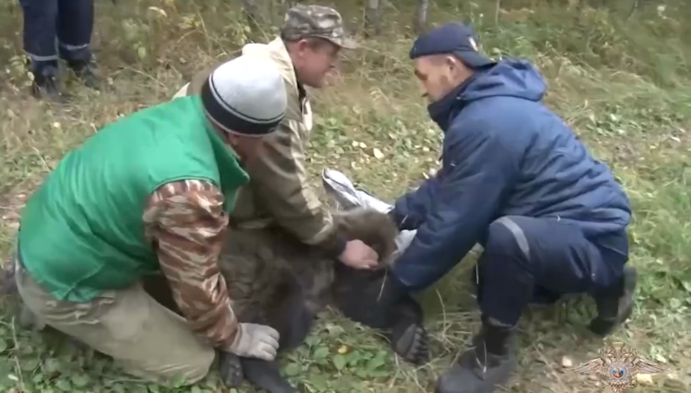 Полицейские записали ролик о чудесном спасении зверят