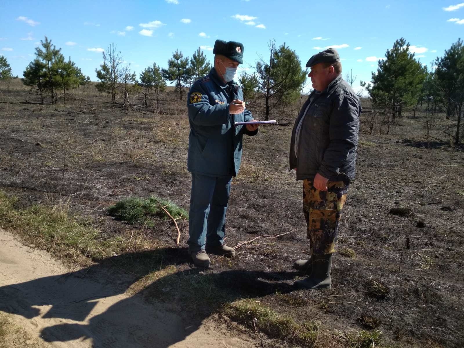 В Брянской области за выходные десять человек оштрафованы за травяные палы