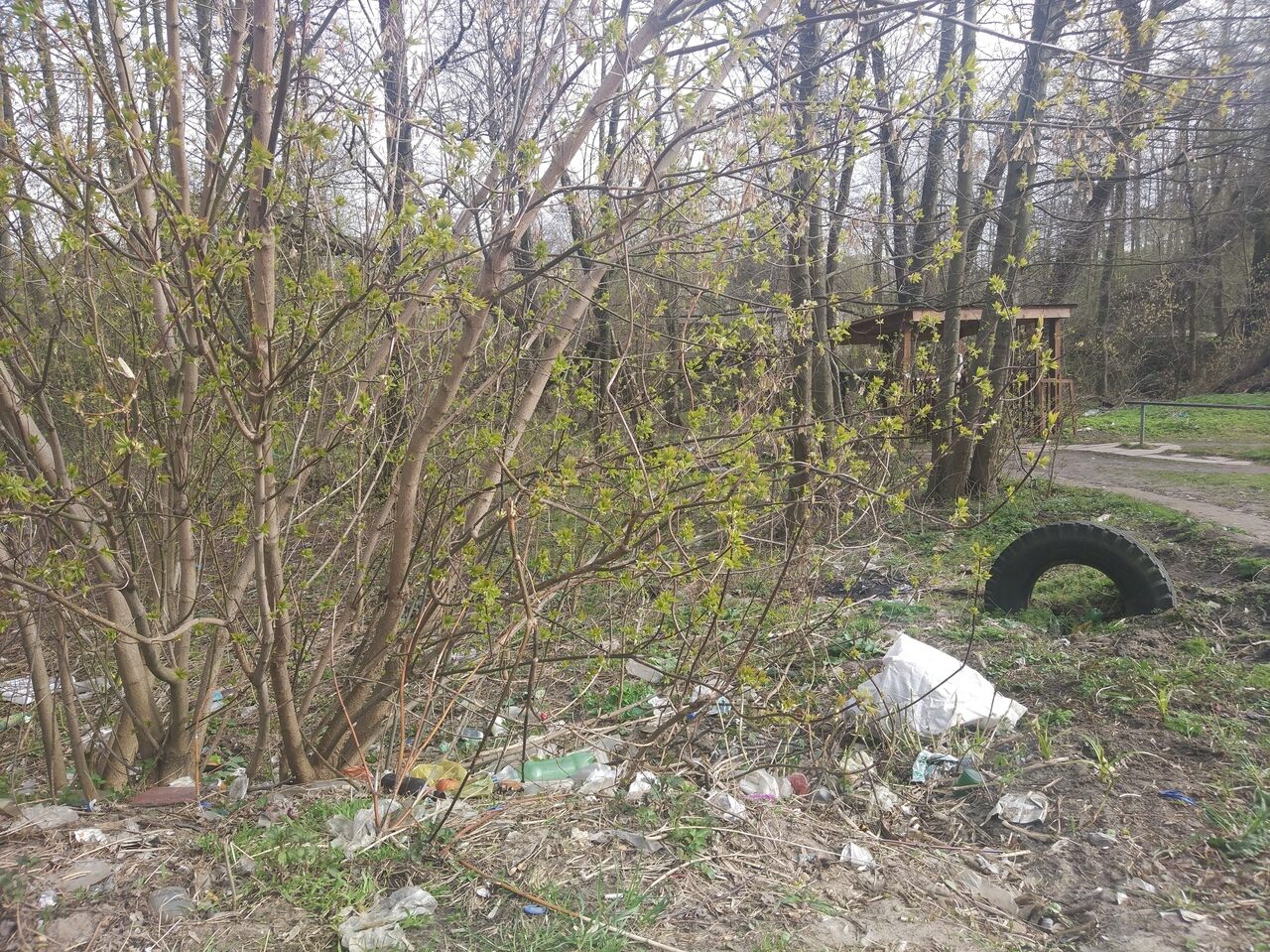 Криница в Клинцах утопает в мусоре