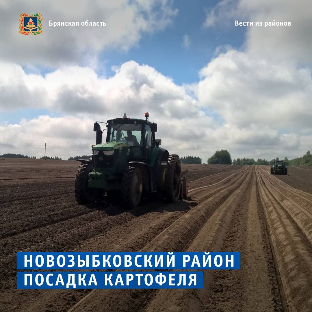 Новозыбковские аграрии уже высадили 900 гектаров картофеля