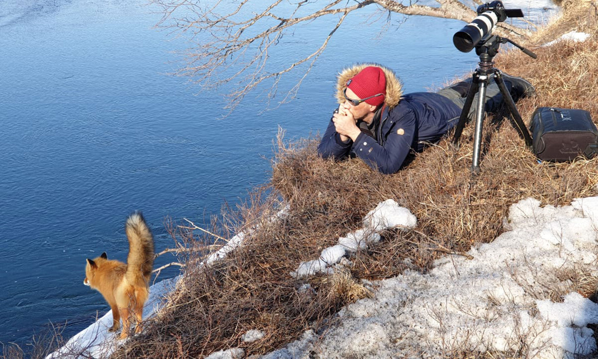 Брянский фотограф-натуралист Дмитрий Шпиленок снимает фильм о лисах на Камчатке