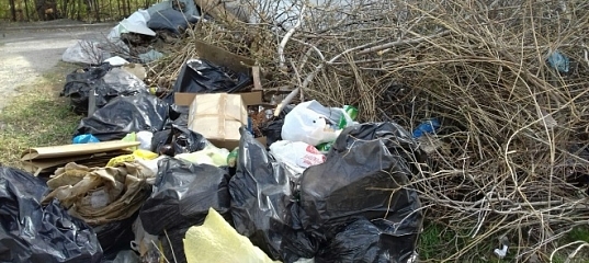 В Гордеевском районе нашли свалки горючих отходов
