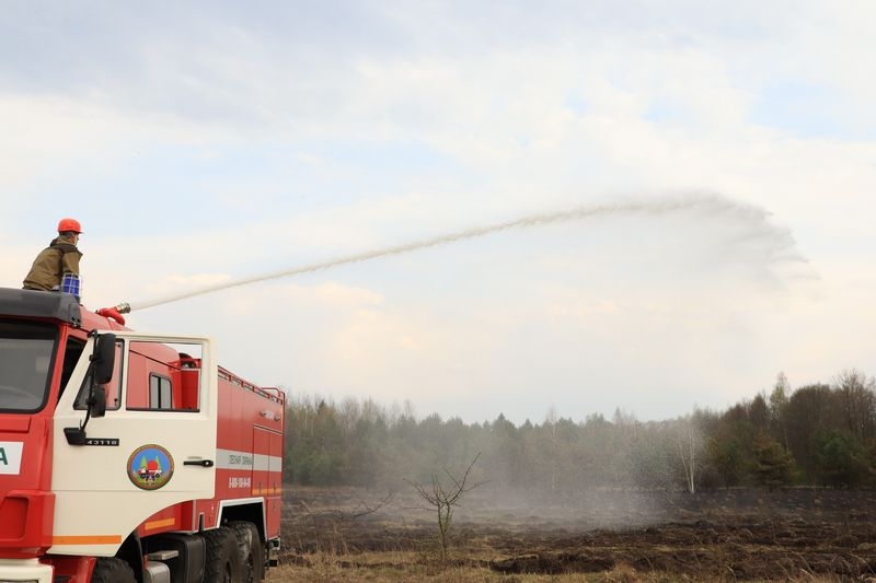 В Брянской области спасли от огня уникальный дендрологический парк