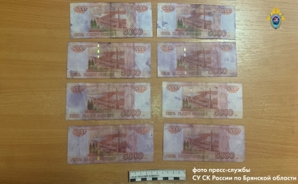 Житель Суража положил в бардачок автомобиля инспектора ДПС 50 тысяч рублей