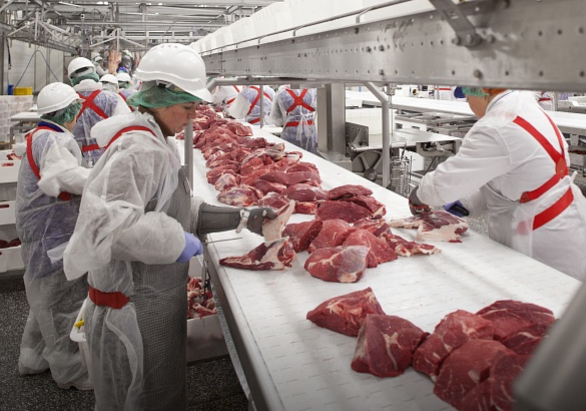 В Китай пойдут первые контейнеры с мясом от «Мираторга»