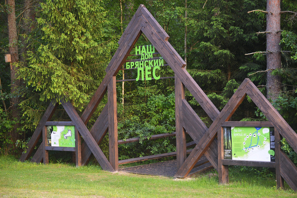 Заповедник «Брянский лес» откроют для туристов с 1 июня