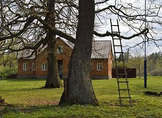 Кордоны заповедника «Брянский лес» приготовились к встрече с туристами. Ведь они вернутся