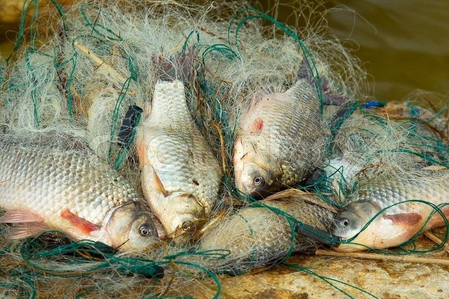 Рыбака из Севска будут судить за использование сетей