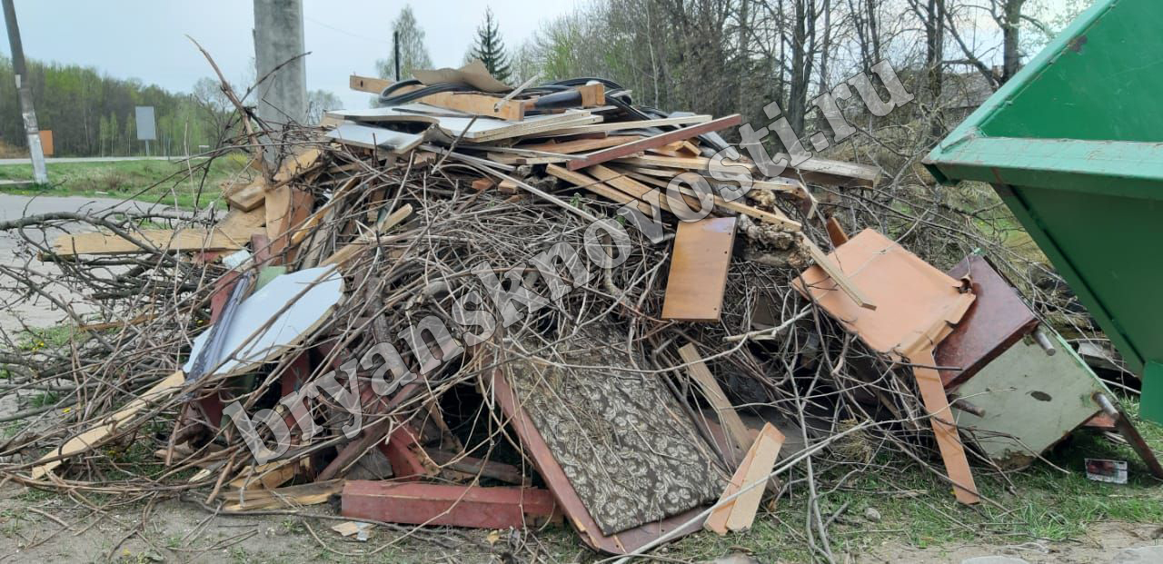 В Новозыбкове свалка на улице Коммунистической становится экологической проблемой для местных жителей