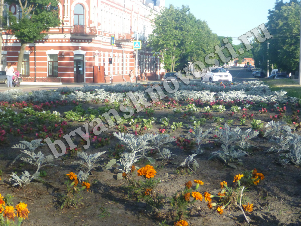 В Новозыбкове закрывают коммунальное предприятие