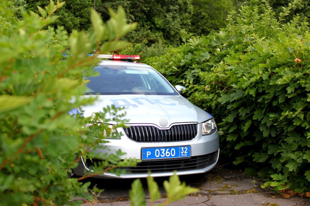 На дорогах Брянской области за два дня задержали 38 нетрезвых водителей