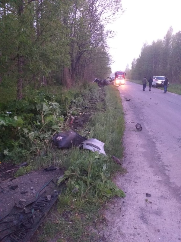 Водитель и пассажирка скончались на месте ДТП в Почепском районе