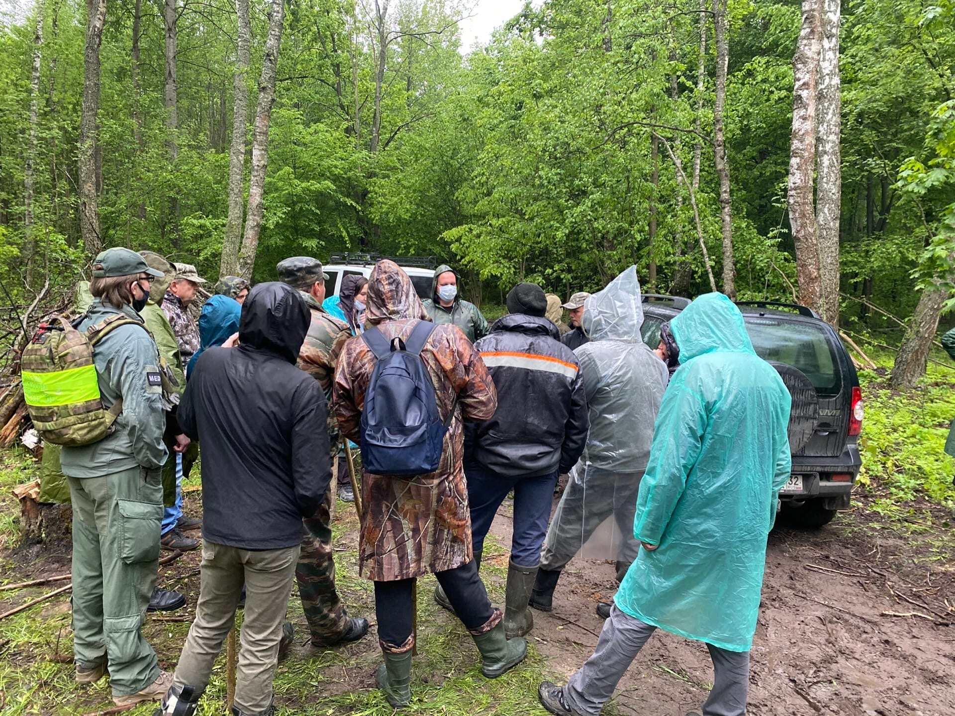 Нашли ли пропавшего. Поисковик Лиза Алерт в лесу. Пропавшие в лесу Лиза Алерт. Лиза Алерт поиск людей в лесу. Волонтеры ищут в лесу.