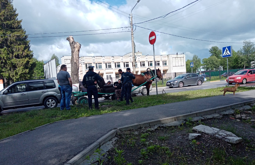 В Брянске цыганская «карета» попала в ДТП
