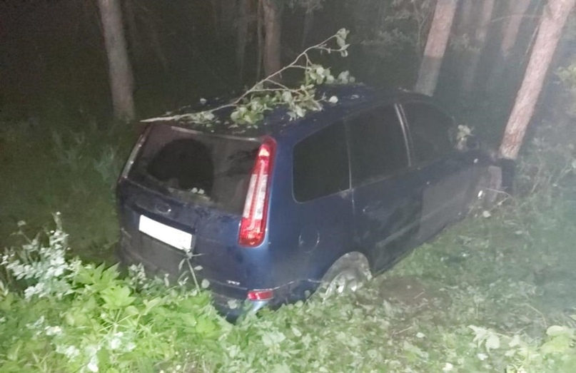 Нетрезвый водитель на «Форде» встретился с деревом в Злынковском районе