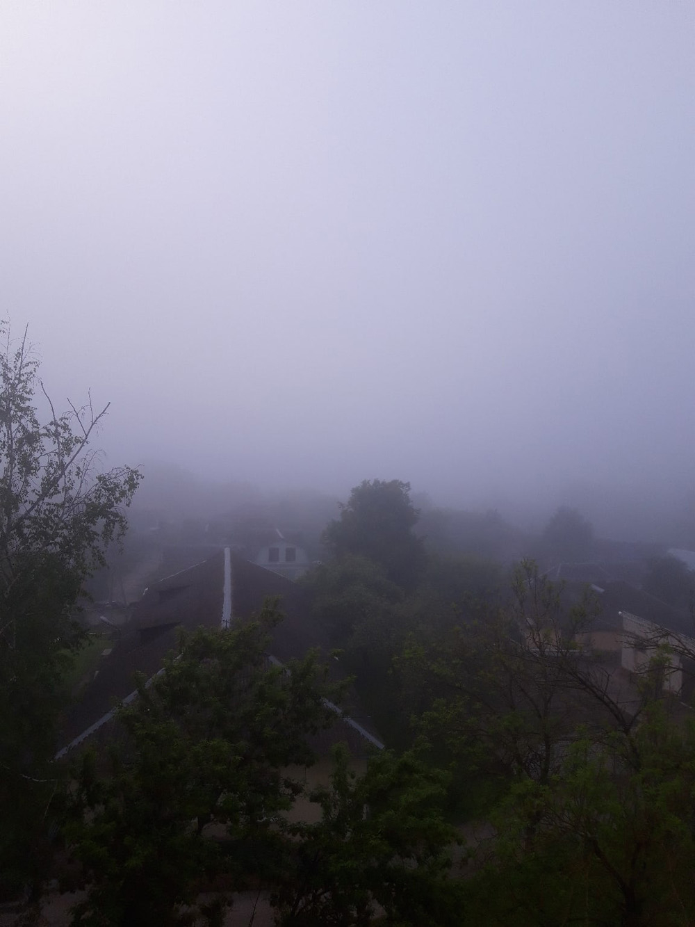 Утром Брянск окутал густой туман