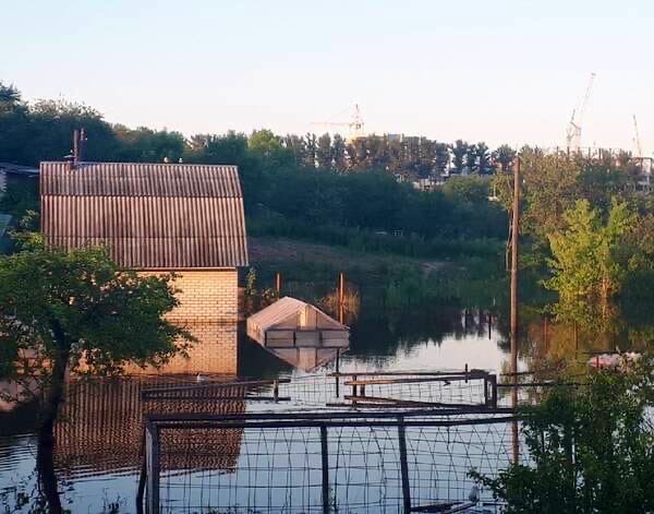 Потоп на Романа Брянского – по огородам брянцев теперь плавают утки