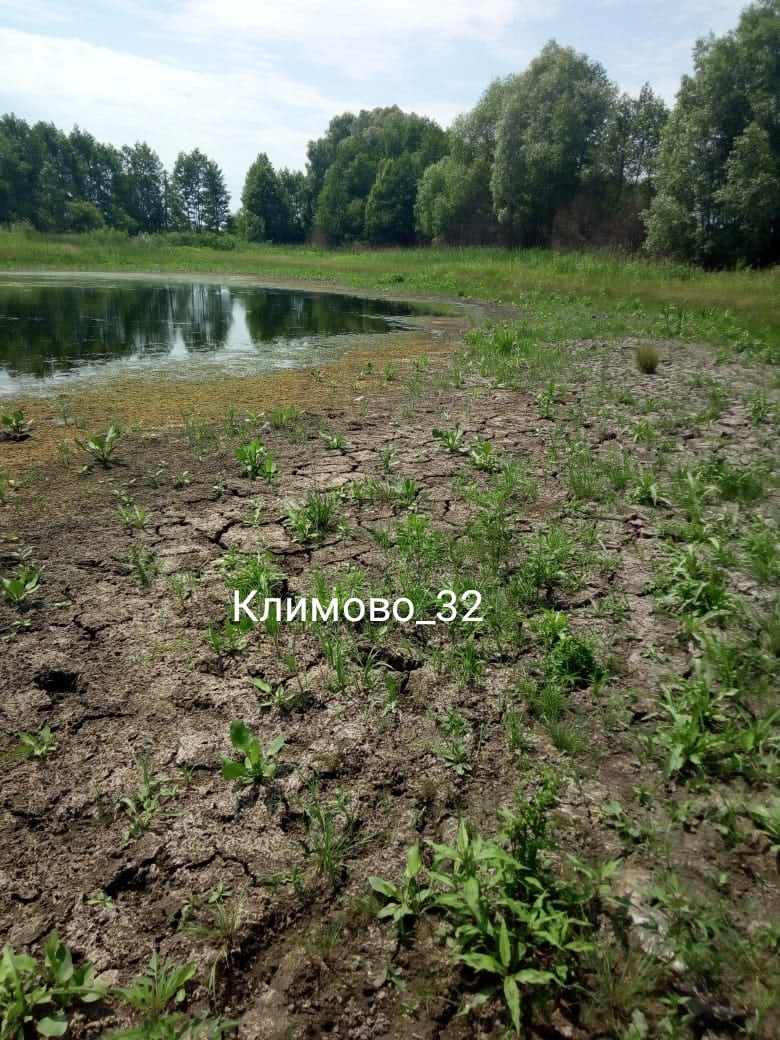 В Климовском районе исчезает Озеро Любви