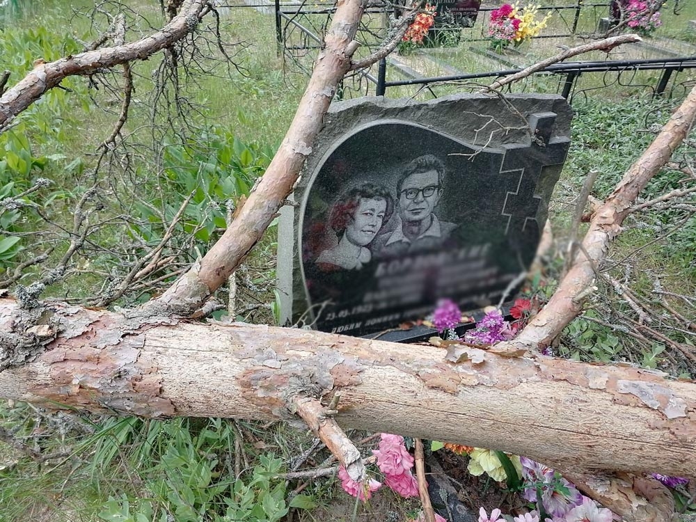 Могила леонтьевой валентины фото