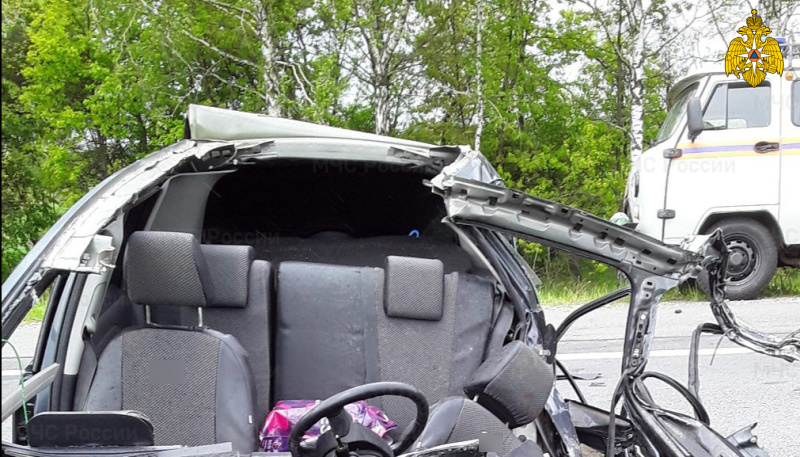 В Выгоничском районе в дорожную аварию попали легковой и грузовой автомобили. Есть пострадавшие