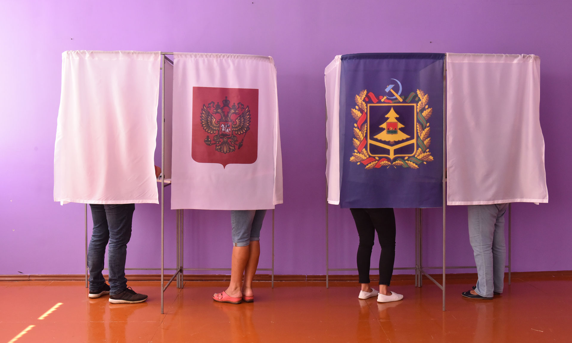Выборы-2020: проголосовать на выборах губернатора брянцы смогут и в Москве