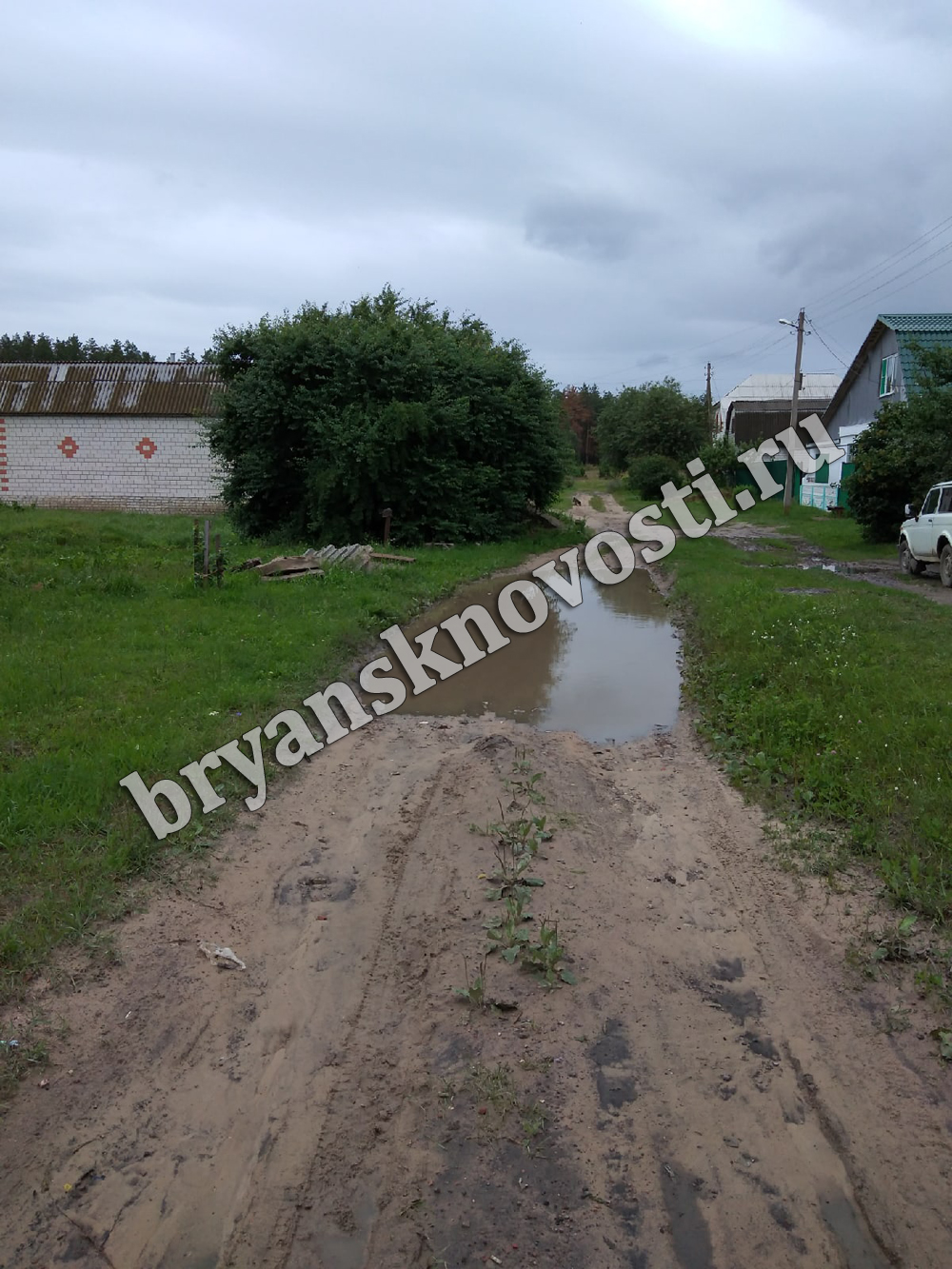 Жители Новозыбкова пожаловались на непроходимую дорогу. Для убедительности приложили фотографии