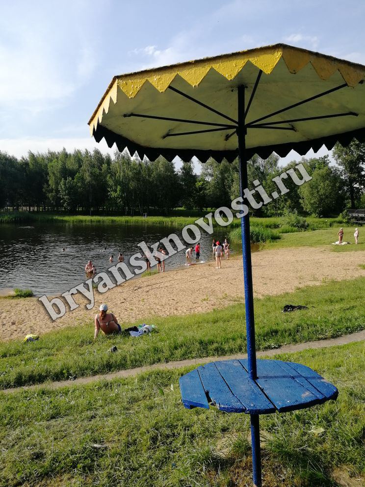 Качество воды и почвы мониторят только на одном пляже в Новозыбковском округе