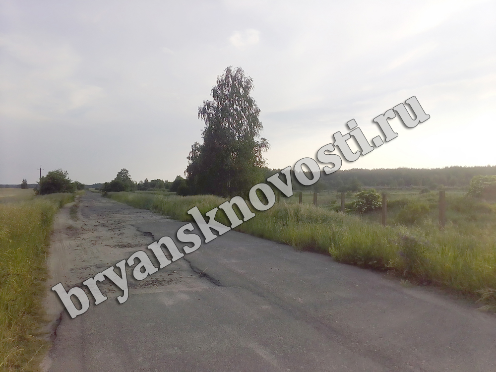 По поводу ремонта дороги в Новозыбковском округе власти ответили отпиской