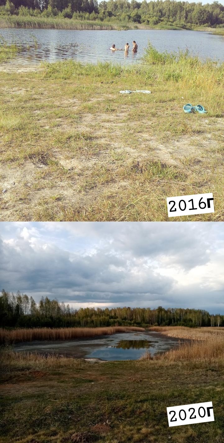 В Брасовском районе практически полностью исчезло озеро